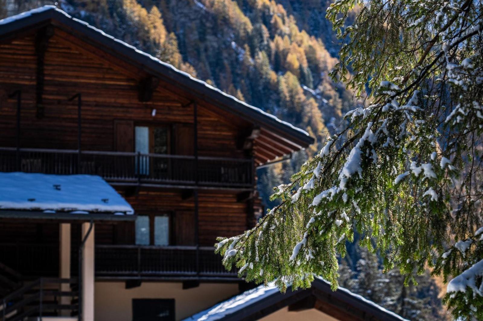 Alpine Forest Hotel Champoluc Luaran gambar